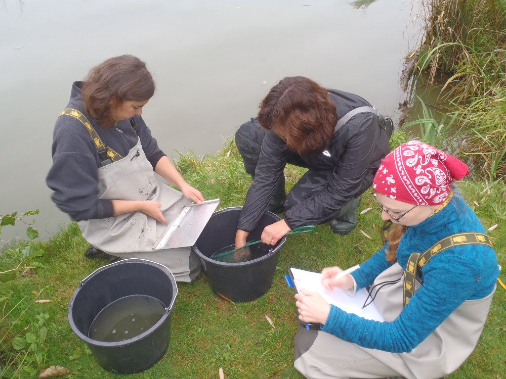 V září byl proveden ichtyologický průzkum na vybraných odstavných ramenech řeky Moravy