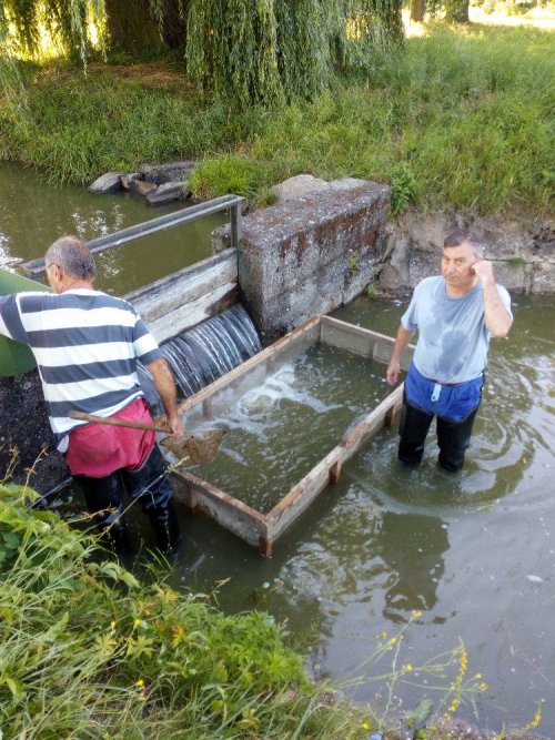 Výsadby ryb do našich revírů od července do října 2018 1  