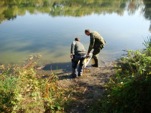 Dne 13.10.2018 skončily podzimní výlovy výlovem Svárovského rybníka 2  