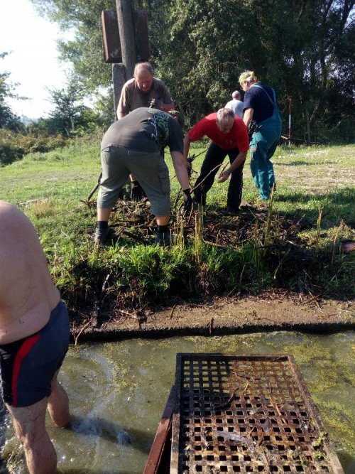 V sobotu 8.8.2020 na našem rybochovu proběhly úklidové práce 6  