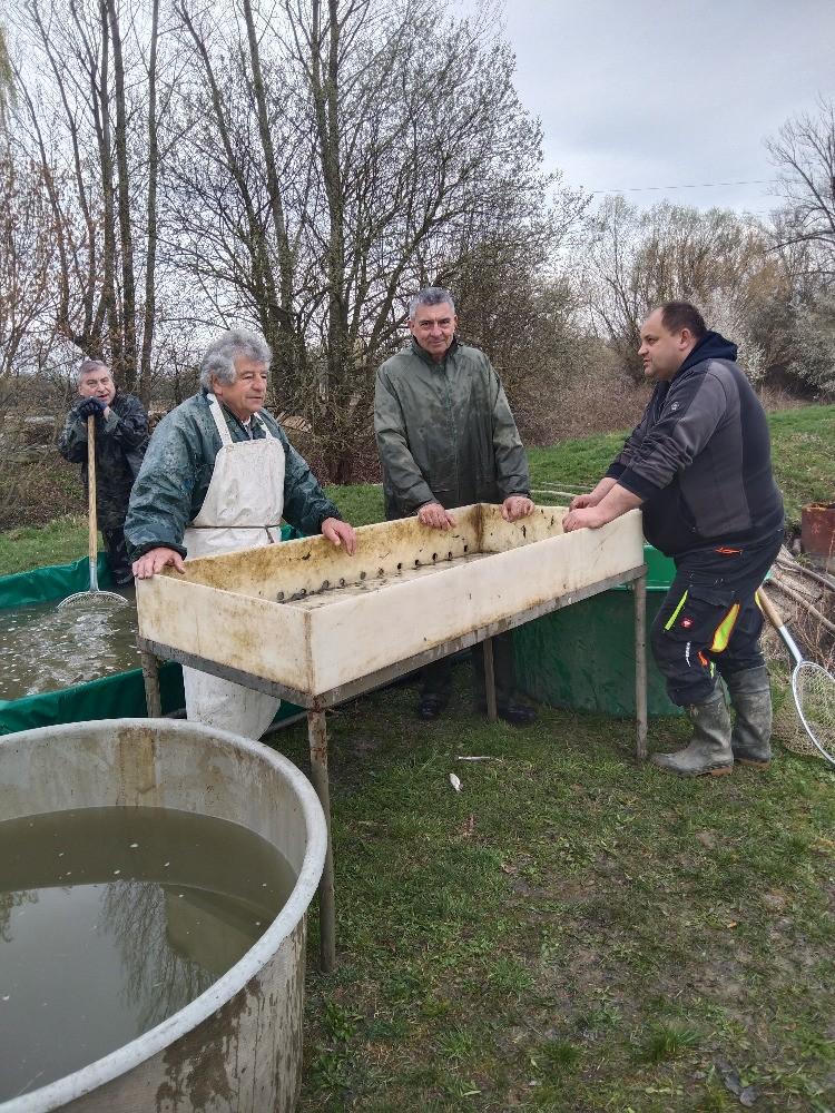 S prvním jarním výlovem jsme velmi spokojeni