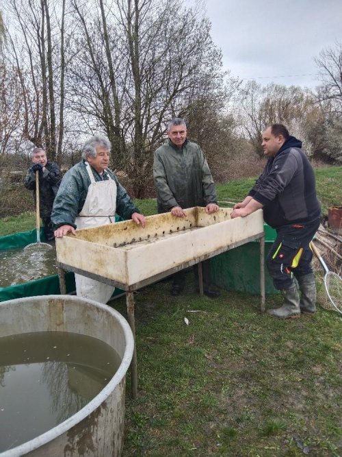 S prvním jarním výlovem jsme velmi spokojeni 1  