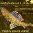1364739135-pozvanka-muskarsky-seminar-2013